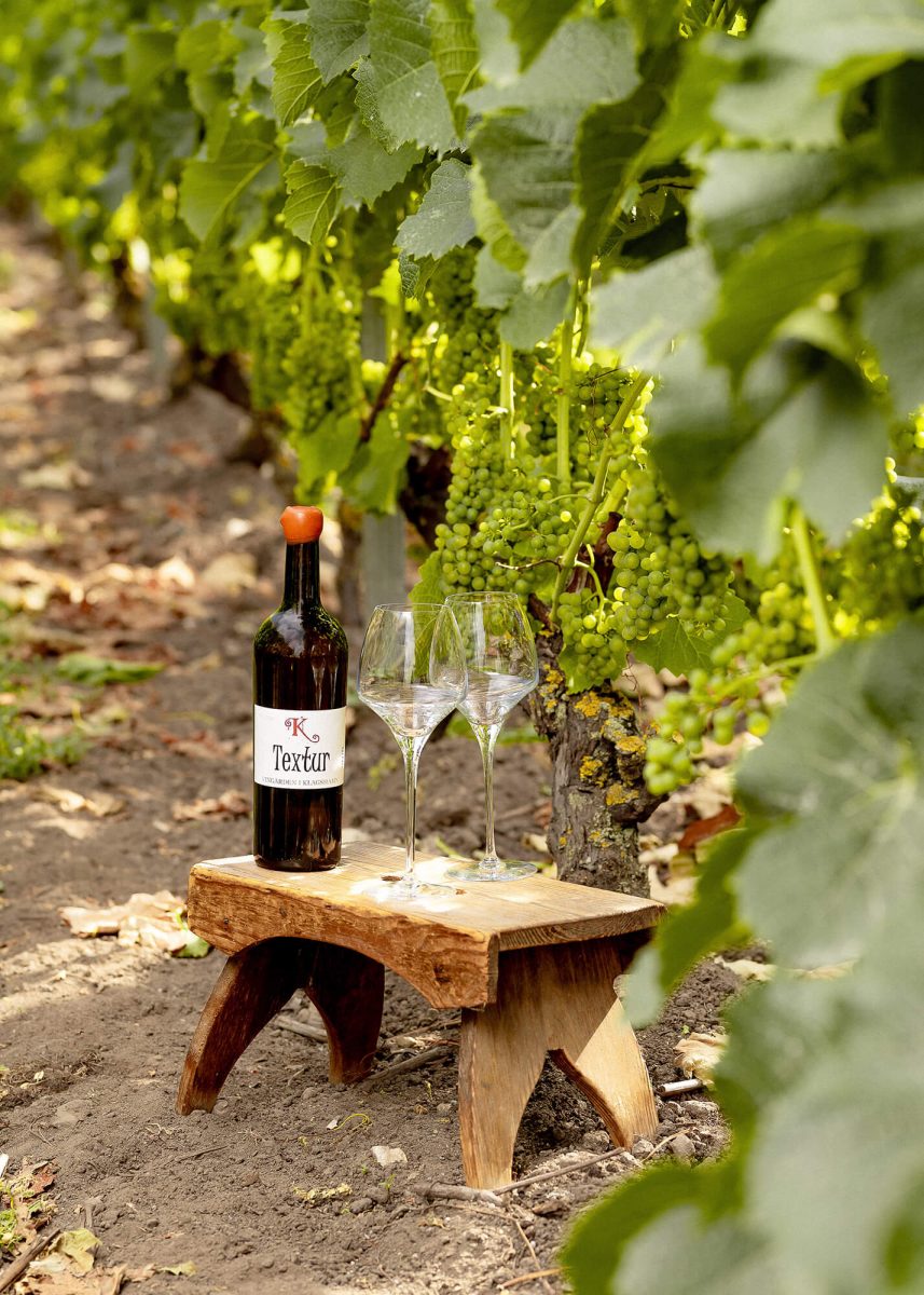 Bottle of wine in the shade with two glasses.