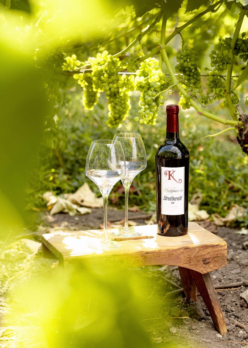 Wine bottle in the shade. The sun is out. Grapes in the background