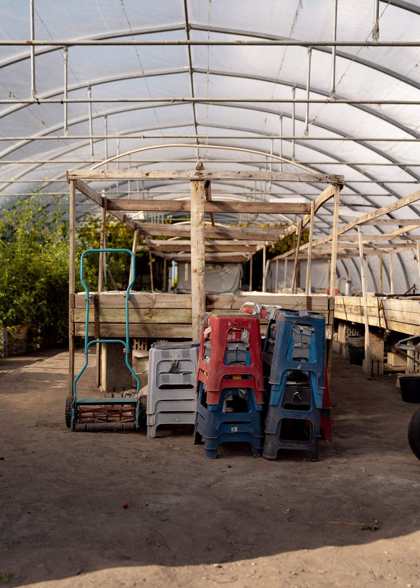 The green house where they plant the grapes